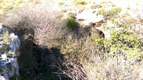 tainaron nekromanteion1