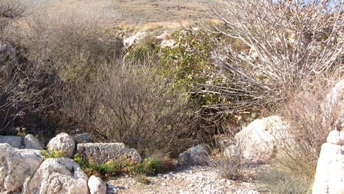tainaron nekromanteion1a
