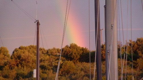 trizonia regenbogen