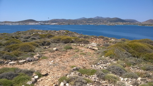 paros russische batterien
