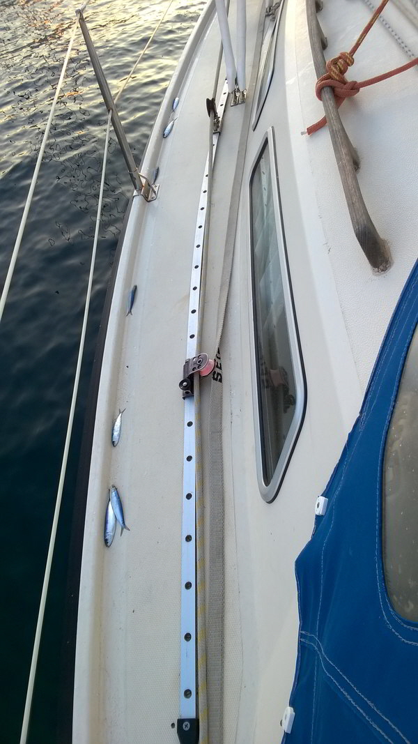kimolos psathi fische