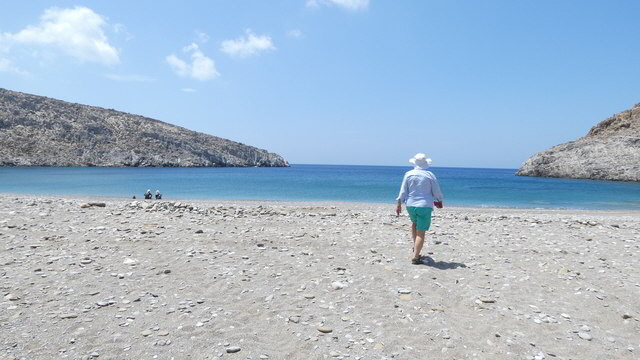 ast vatses2