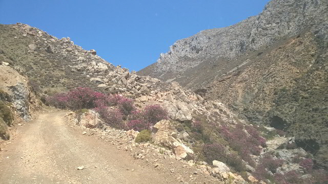 ast vatses4