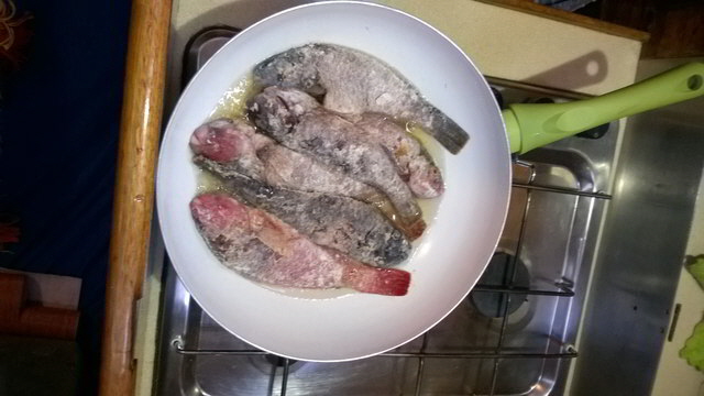 asty fische