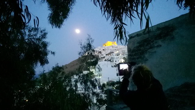asty vollmond