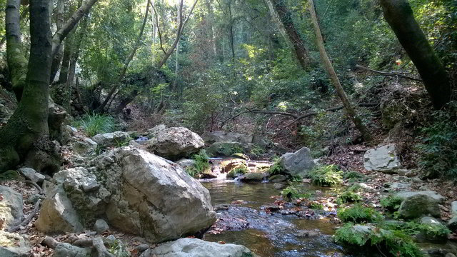 sa potami4