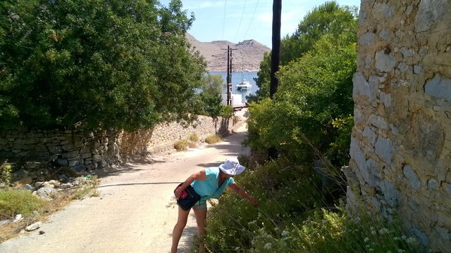 symi pedi kruter