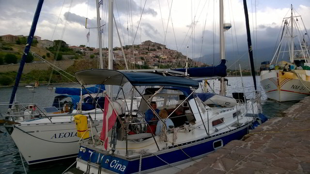 les molivos