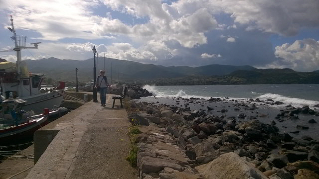 les molivos3