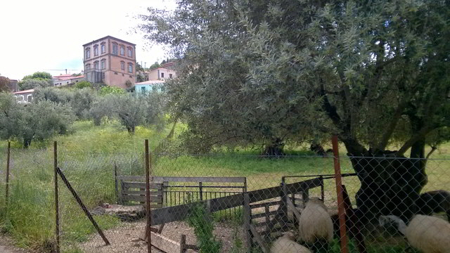 les vatoussa3