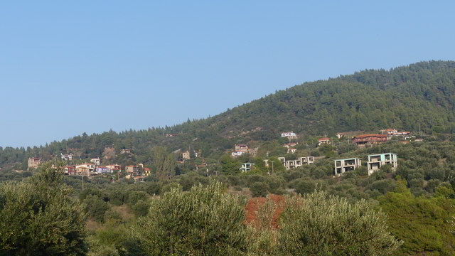 parthenonas