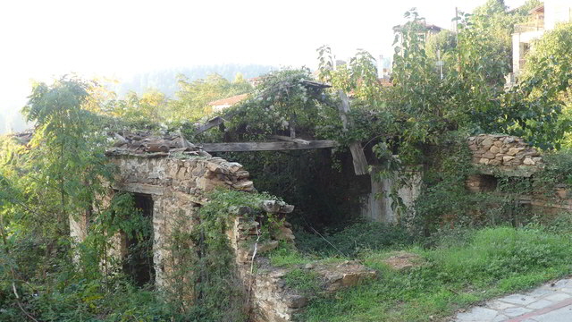parthenonas1