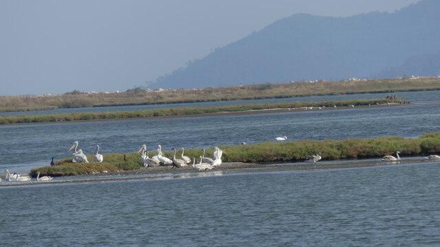 agiasma lagune