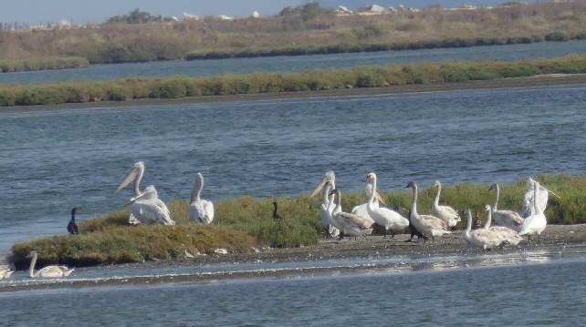 agiasma lagune1