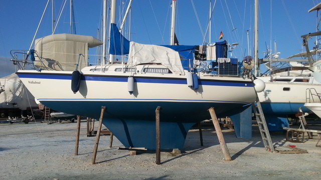 antifouling