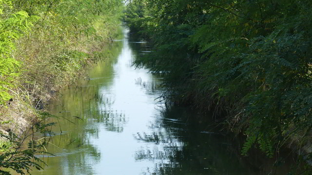 nestos delta1