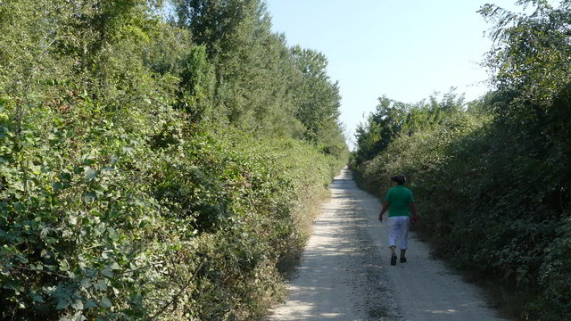 nestos delta2