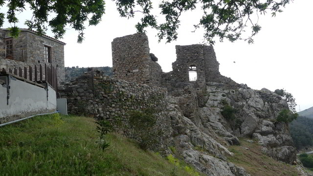sam chora2