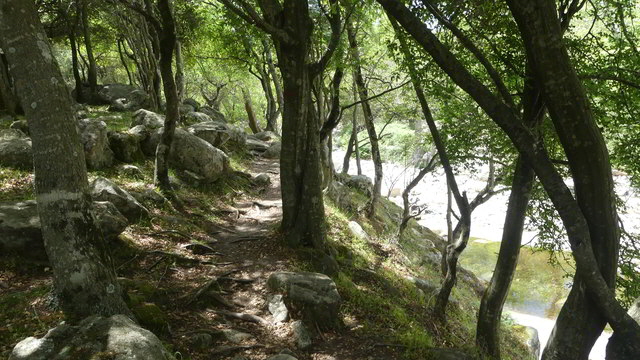 sam zum wasserfall