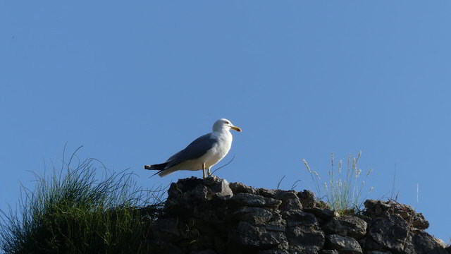 thas kastell2