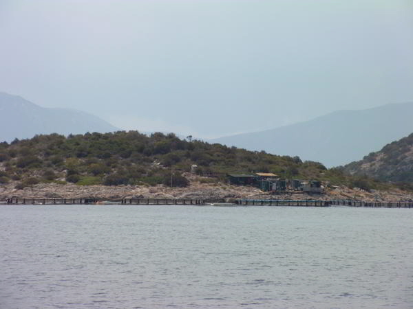Fischzuchten