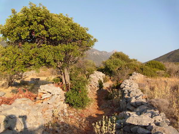 Gerakas8