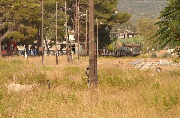 Kyparissia alter Bahnhof1