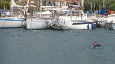 trizonia mooringtaucher