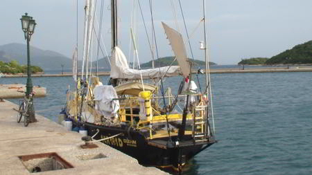 trizonia schiff2