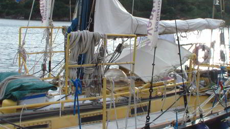 trizonia schiff3
