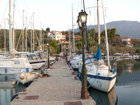 trizonia walkabout