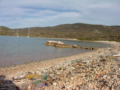 strandgut