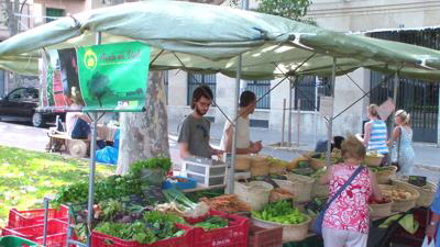 palma aixaesvida