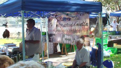 palma ecoilla