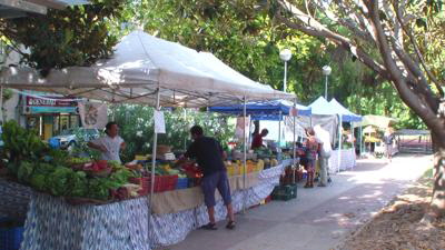 palma markt