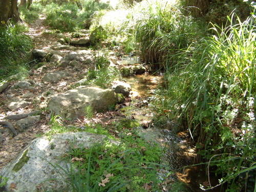 mili wasserlauf