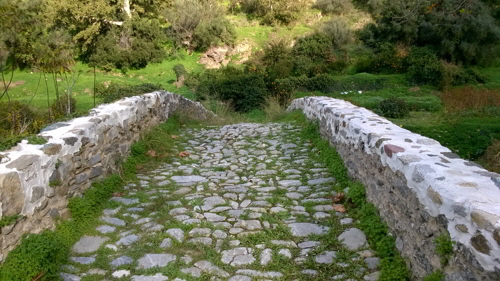 richtis13