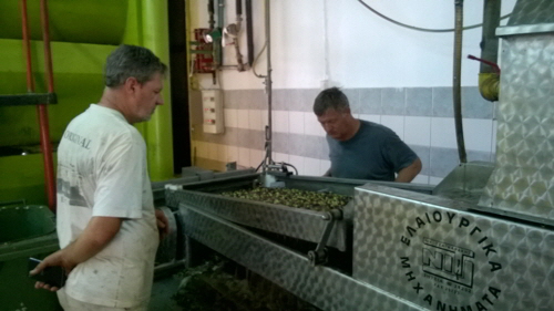 olivenölfabrik waschen1
